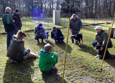 welpen-04