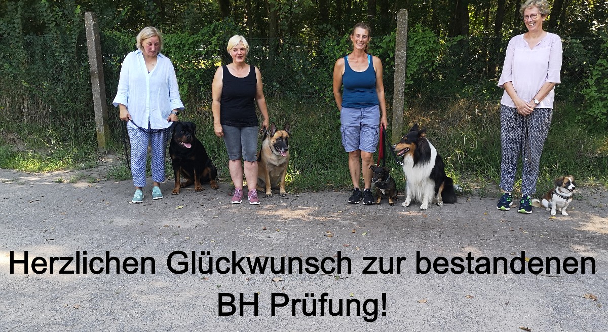 bh-pruefung-2023