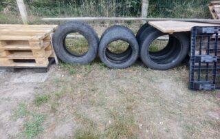 Aufbau Hunde Parcourstraining