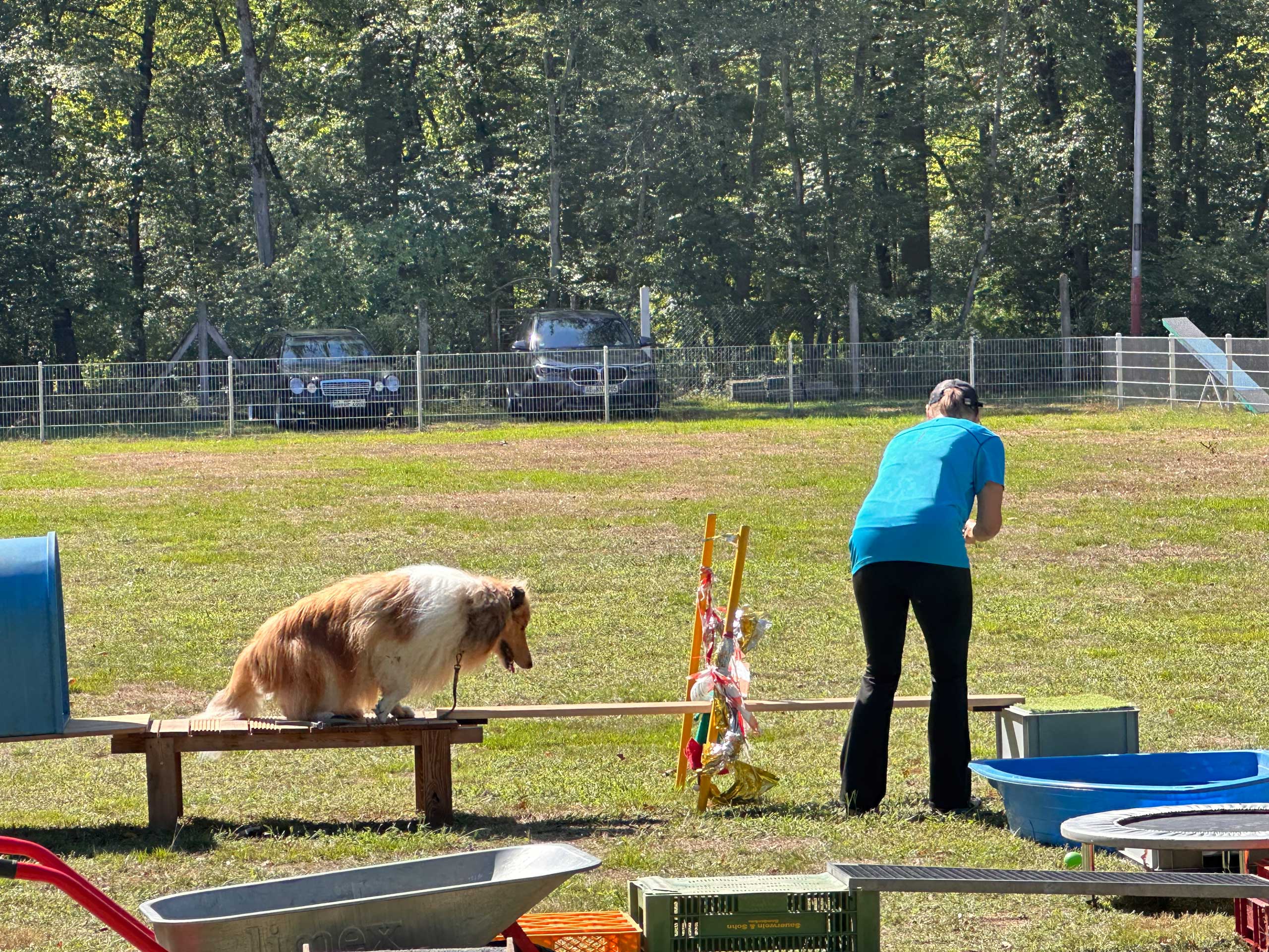 Hundefreunde Hergershausen Tag der offenen Tür 2026 Hundefreunde Hergershausen Tag der offenen Tür 2026