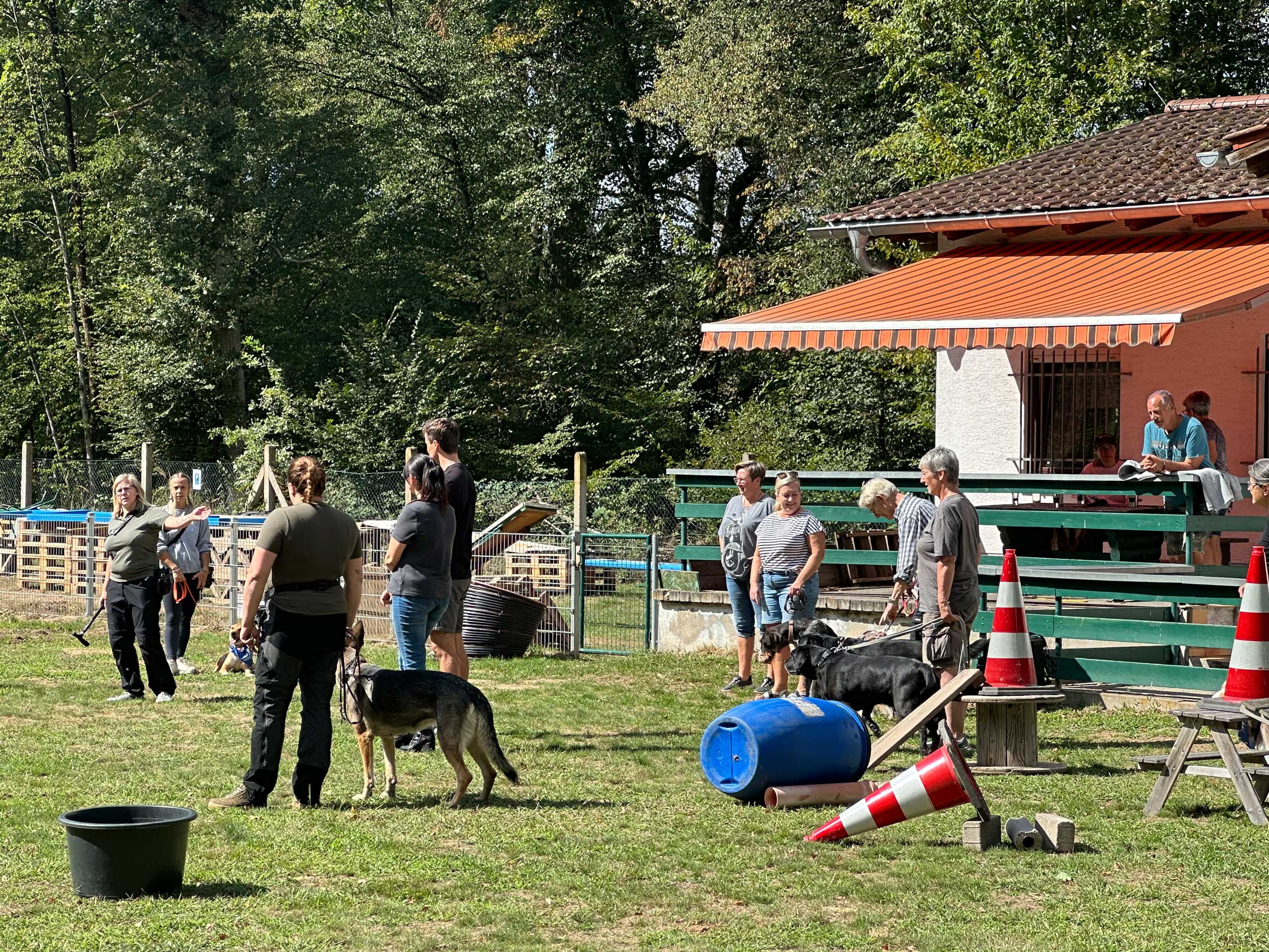 Hundefreunde Hergershausen Tag der offenen Tür 2026 Hundefreunde Hergershausen Tag der offenen Tür 2026