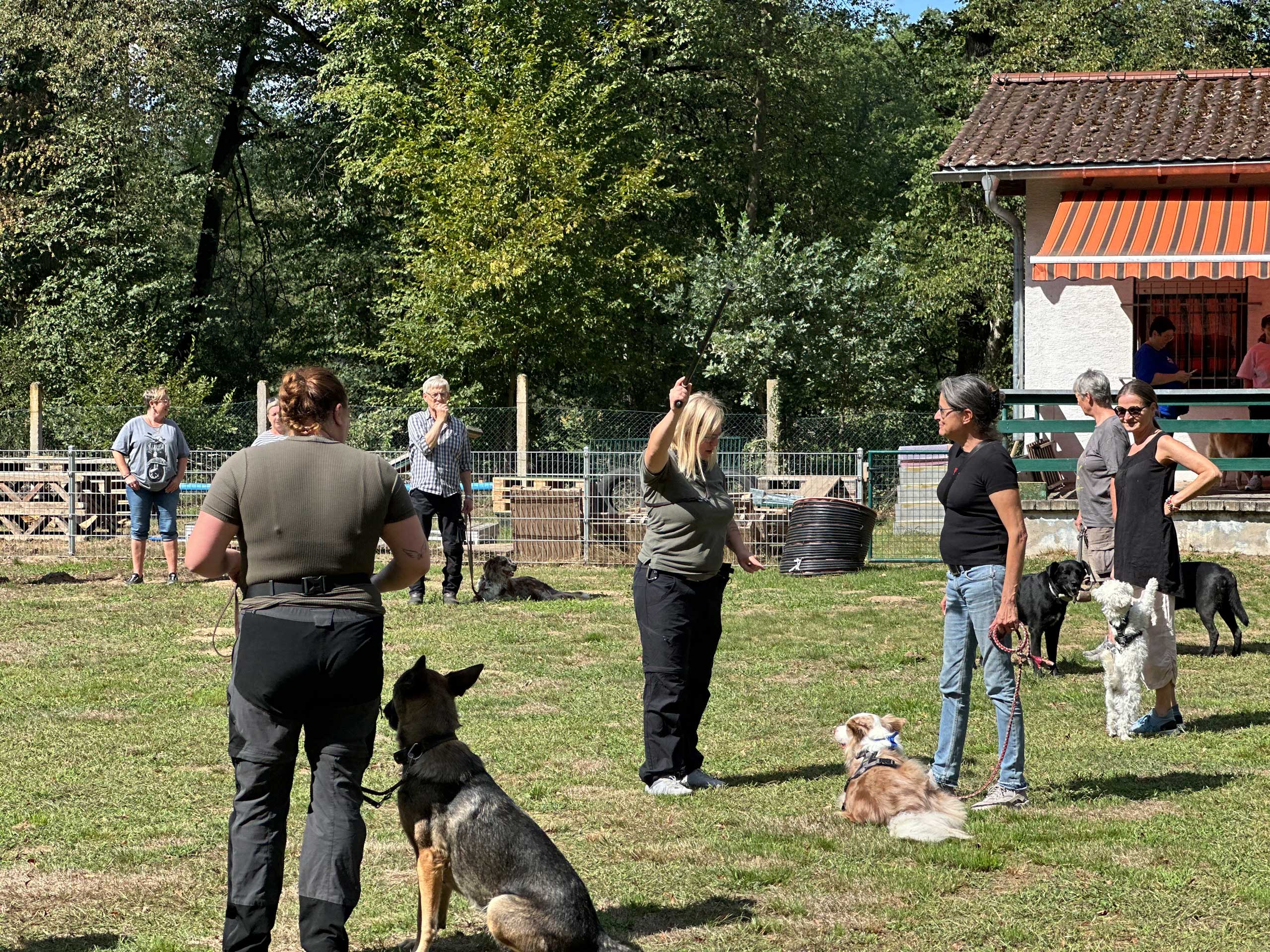 Hundefreunde Hergershausen Tag der offenen Tür 2026 Hundefreunde Hergershausen Tag der offenen Tür 2026