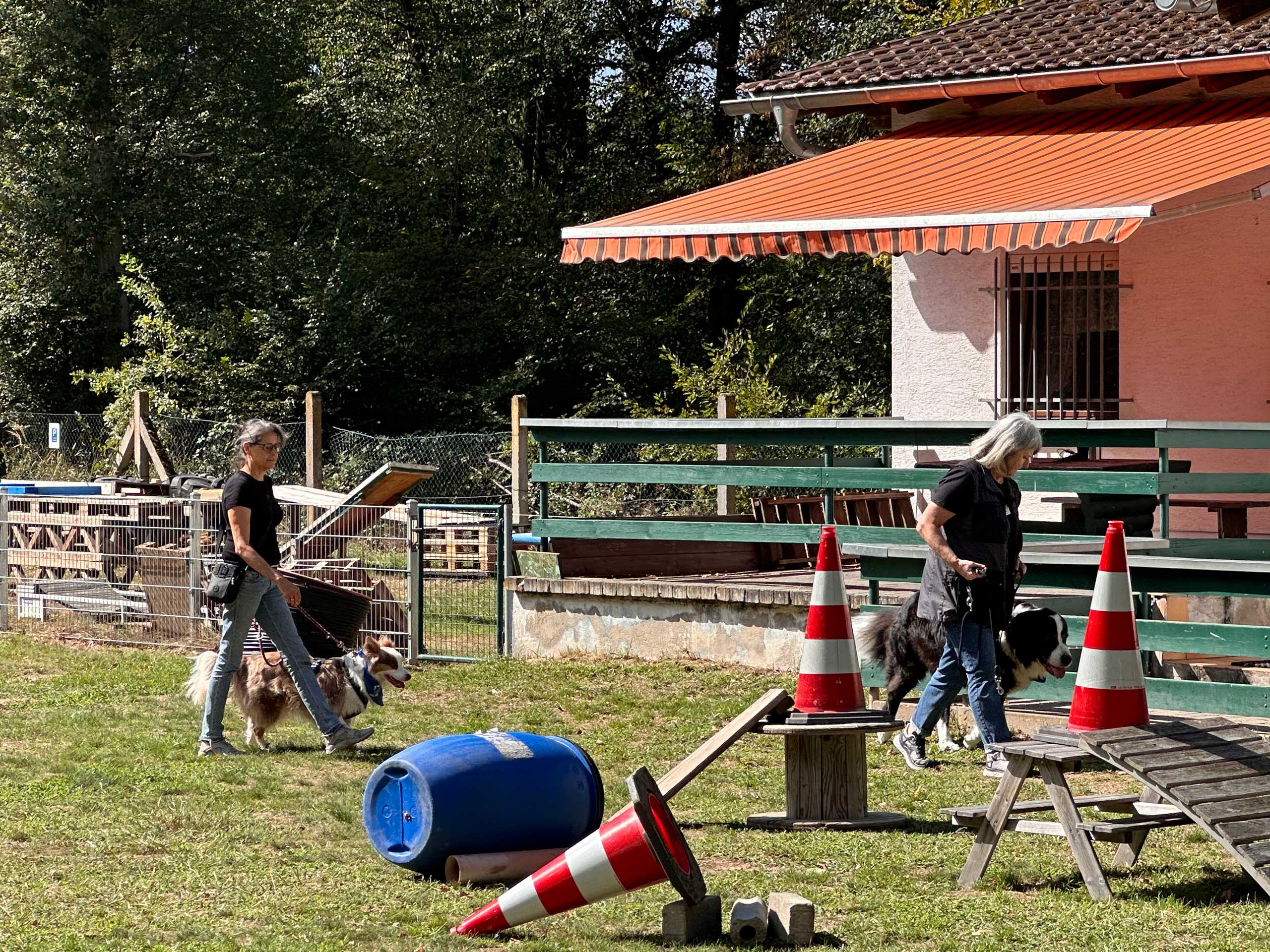 Hundefreunde Hergershausen Tag der offenen Tür 2026 Hundefreunde Hergershausen Tag der offenen Tür 2026